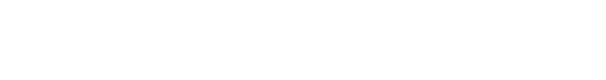 The Toyverse